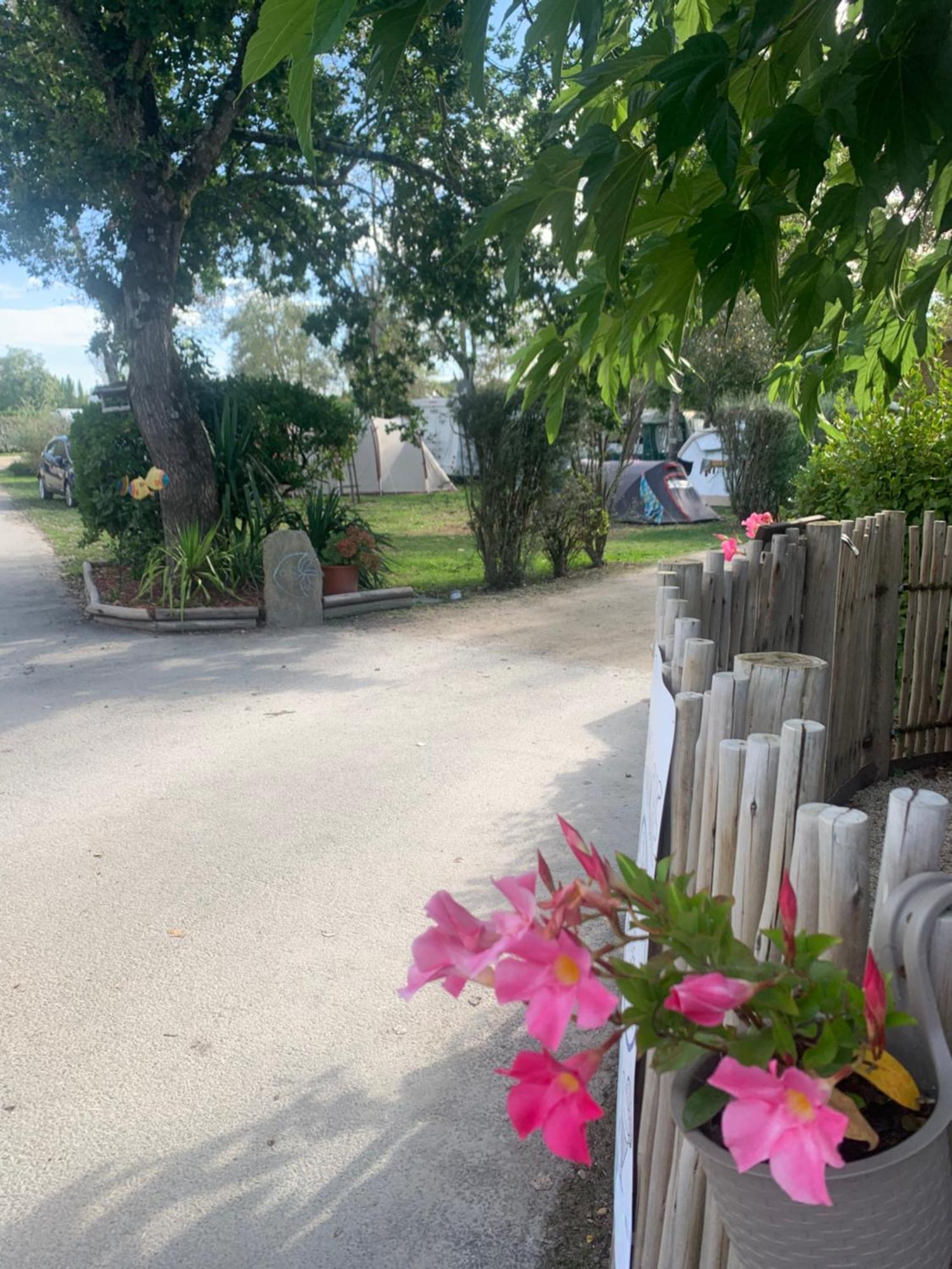Camping Paradis Le Moulin Des Oies Belz Екстериор снимка